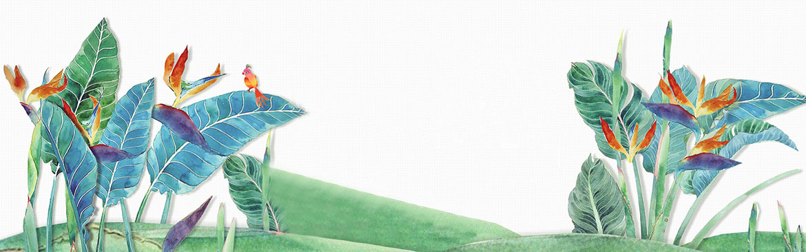 手繪-花-樹葉-鳥